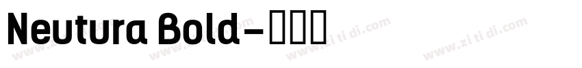 Neutura Bold字体转换